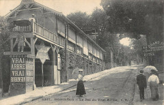 Robinson Le Bal Du Vrai Arbre