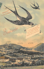 Briancon A Vol D'Oiseau Souvenir -
													05 Hautes Alpes
												