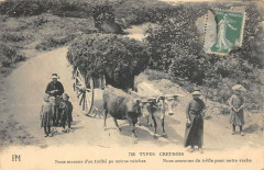 Types Creusois Nous Amenons Du Trefle Pour Notre Vache -
													23 Creuse
												
