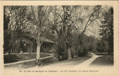 Carte postale ancienne Le Bois de Boulogne en Automne - Le Pré Catelan - Le Saule Pleureur
                                                                     à Paris 16e
                                