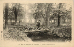 Paris ed. B.F. Bois de Boulogne en Automne Vers le Palmarium