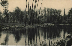 Saint-Pourcain-sur-Sioule Enclos et Bords de la Sioule -
													03 Allier
												