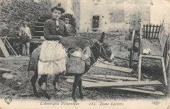 L'Auvergne Pittoresque Jeune Laitiere