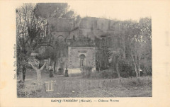 Saint Thibery Chateau Normand