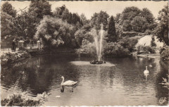Vichy Bassin des Cygnes à Vichy