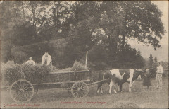 Carte postale, Environs d'Epinal, Attelage Vosgien -
													88 Vosges
												