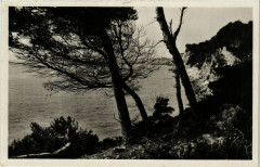 Sanary Vue sur la Cride -
													83 Var
												