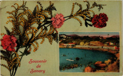 Sanary Souvenir -
													83 Var
												