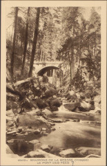 Carte postale, Environs de La Bresse (Vosges), Le Pont des Fées
