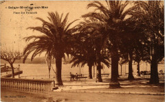 Sainte-Maxime Place des Palmiers