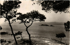 Saint-Raphael Le Lion de Mer