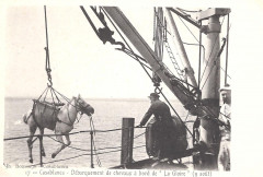 الدار البيضاء 1907 جواد -
													France
												