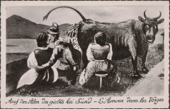 Carte postale, Auf der Alm da giebts kei sünd - L'Amour dans les Vosges