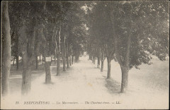 Carte postale, Neufchâteau, Les Marronniers, The Chestnut-trees