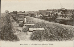 Carte postale, Xertigny, La Faisanderie, Un Sentier d'élevage