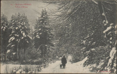 Carte postale, Environs d'Epinal, Vallon d'Olima