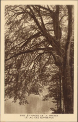 Carte postale, Environs de La Bresse, le Lac des Corbeaux