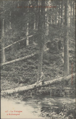 Carte postale, La Vologne à Kichompré