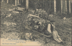 Carte postale, Les Schlitteurs descendant les bois de la montagne, Forêt de l'Urson