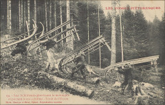 Carte postale, Les Schlitteurs gravissant la montagne et portant leurs schlittes, Forêt de l'Urson -
													88 Vosges
												