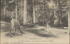 Carte postale, Saint-Dié (Vosges), Aux trois fauteuils, Sur le chemin de ronde du Cambert