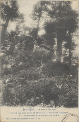 Carte postale, Saint-Dié, La Roche des Fées