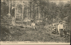 Carte postale, Vallée de Celles (Vosges), Nos Bûcherons