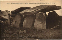 Trebeurden Allee Couverte de l'Ile Miliau