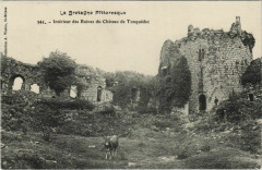 Tonquedec Interieur des Ruines du Chateau de Tonquedec