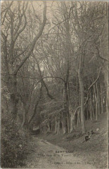 Saint-Cast Le Bois de la Vieuvil