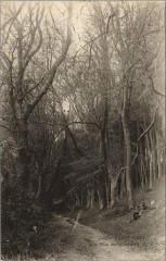 Saint-Cast Le Bois de la Vieuvil