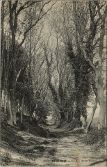 Saint-Cast Le Bois de la Vieuvil