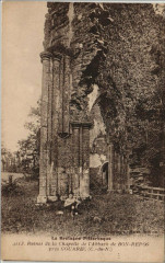 Saint-Gelven - Ruines de la chapelle de l'abbaye de Bon Repos à Bon Repos sur Blavet
