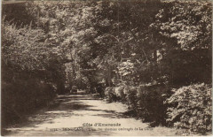 Saint-Cast L'Un des Chemins Ombrages de La Garde