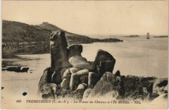 Trebeurden La Pointe du Chateau et l'Ile Milliau -
													22 Côtes d'Armor
												