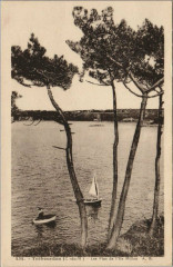 Trebeurden Les Pins de l'Ile Millau