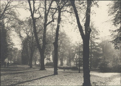 Carte postale, Epinal, Parc du Cours 2