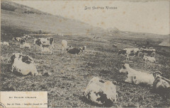Carte postale, Au Ballon d'Alsace -
													88 Vosges
												