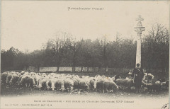 Carte postale, Harchéchamp (Vosges), Croix de Chauffour - Aux armes du Chatelet Couvonges (XVIe siècle)