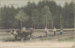 Carte postale, Les Travaux à la campagne - Le Labourage