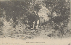 Carte postale, Un Schlitteur -
													88 Vosges
												
