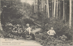 Carte postale, Vexaincourt, Au Bois du Sauvage