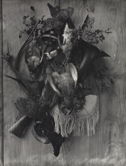 Adolphe Braun - Trophy of the Hunt - 1985.144 - Cleveland Museum of Art -
													France
												