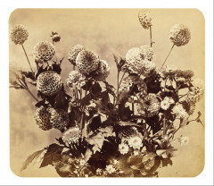 Adolphe Braun - Untitled - Google Art Project -
													France
												