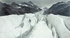 Adolphe Braun Grindelwaldgletscher -
													France
												