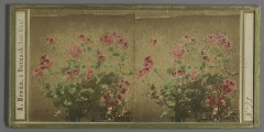 Bloemen in pot, Rp-F-F08320