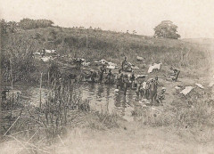 Environs de Beyla (Guinée) (cropped)