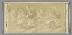 Man in een bos Foret de Laibach (titel op object), Rp-F-F07848