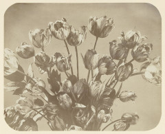Stilleven van een boeket tulpen, Rp-F-1999-89