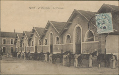Carte postale, Epinal, 4e Chasseurs, Le Pansage